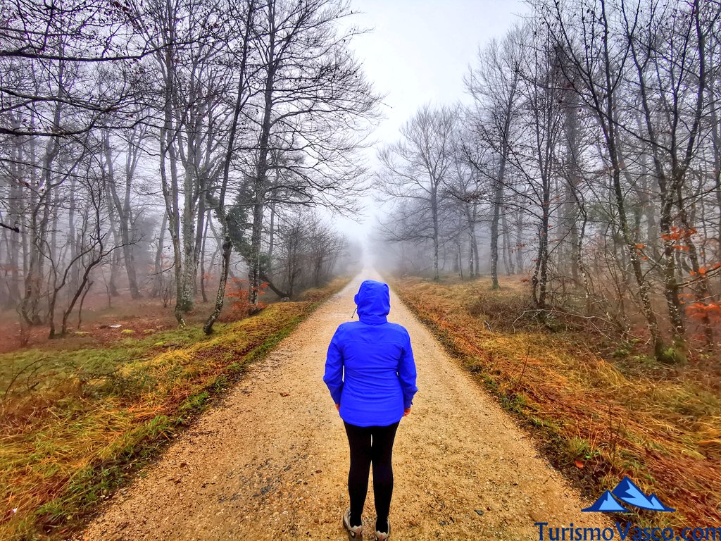 pista forestal al salto del nervion desde monte santiago