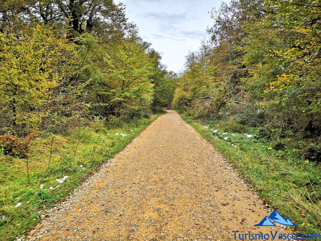 ruta sencilla y accesible en el salto del nervion